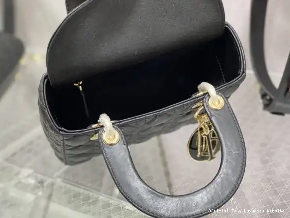 Tony Luxuries DI0R-20CM LADY 0618